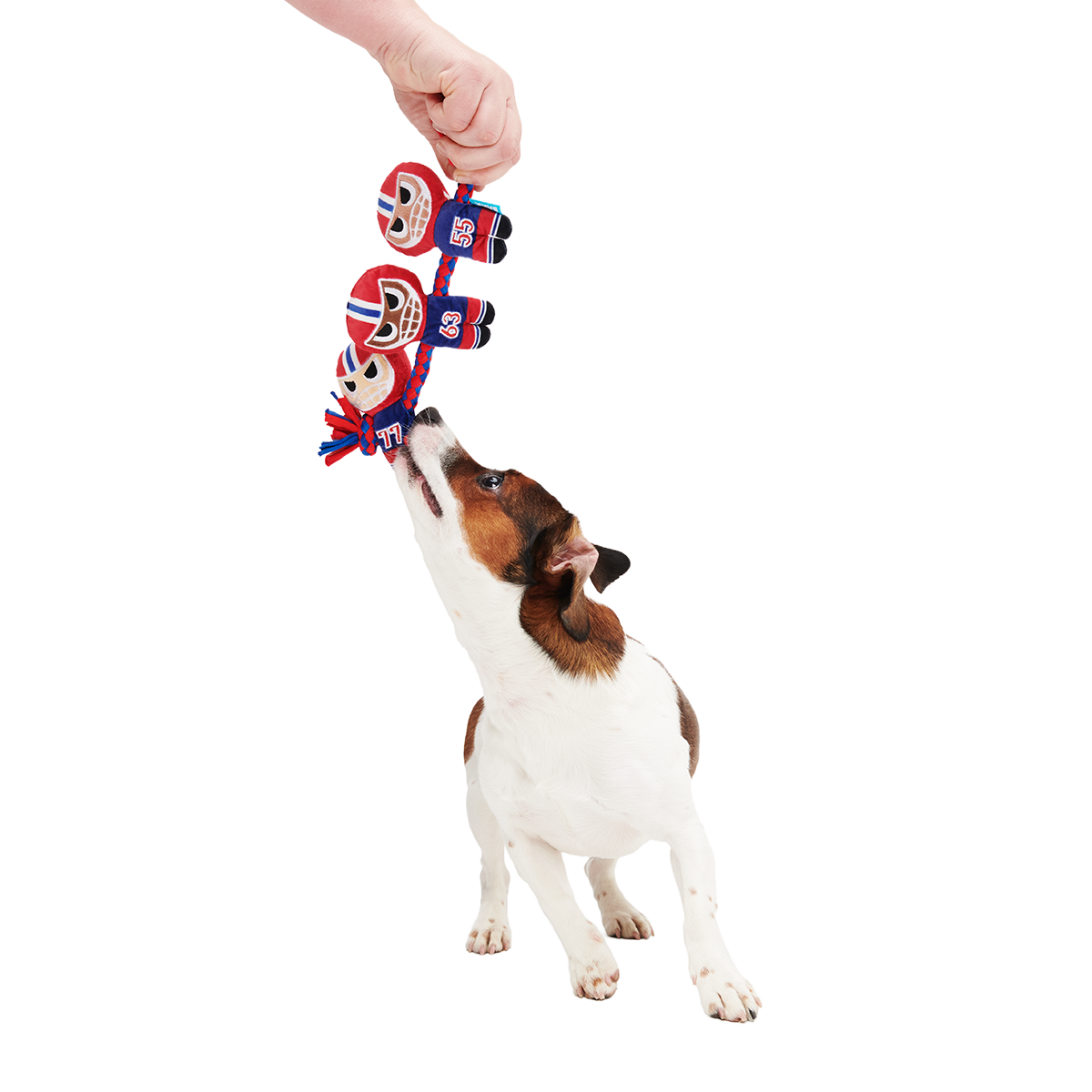 Linebarkers Plush Tug Dog Toy