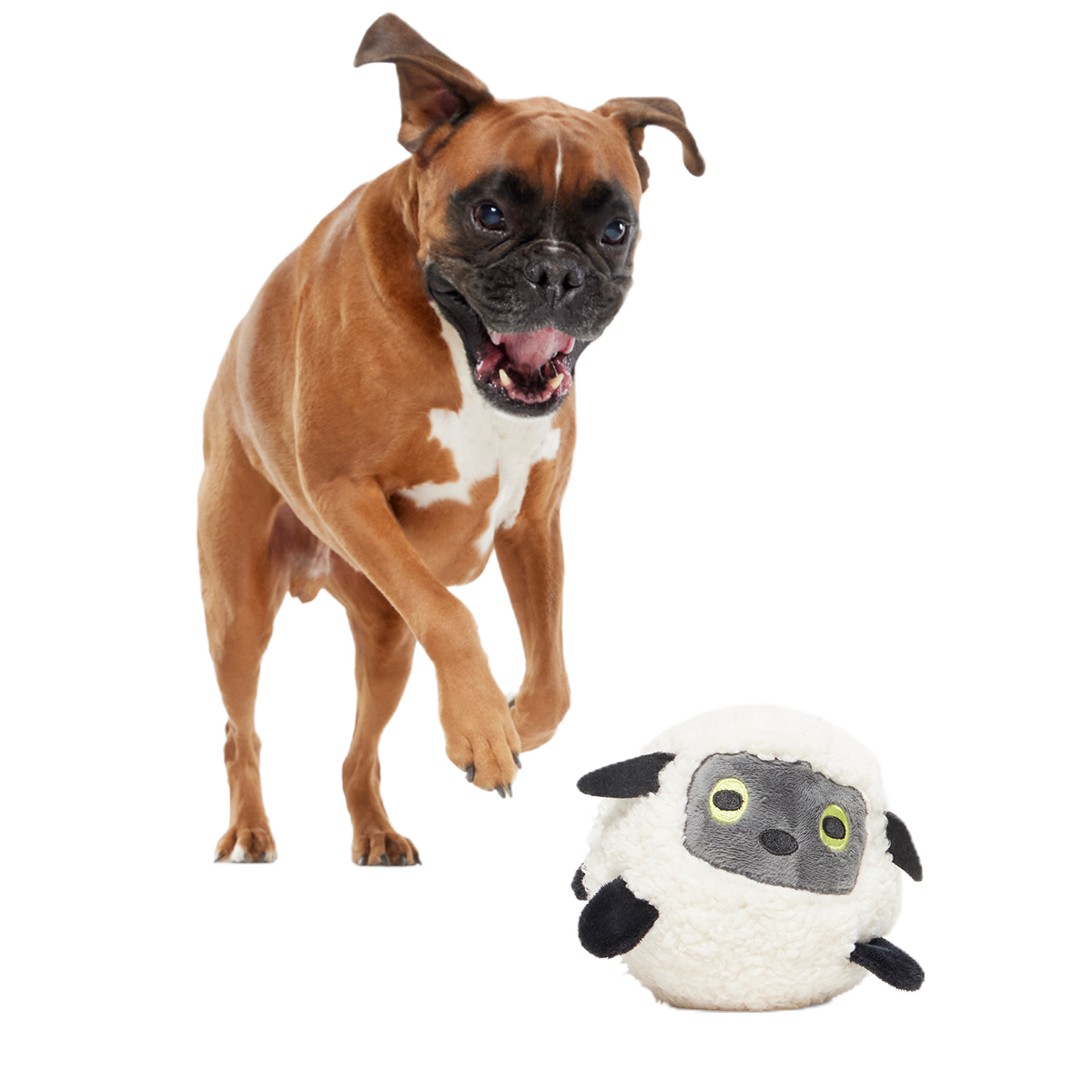 Little Bo Pup Super Chewer Durable Fetch + 2-in-1 Dog Toy