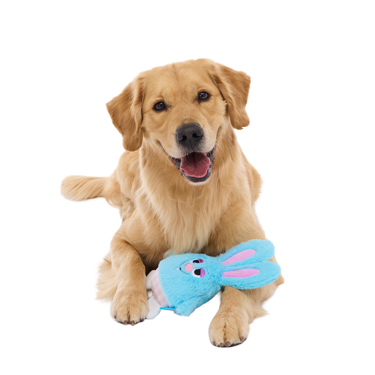 Little Bun Blue Plush Tug Dog Toy