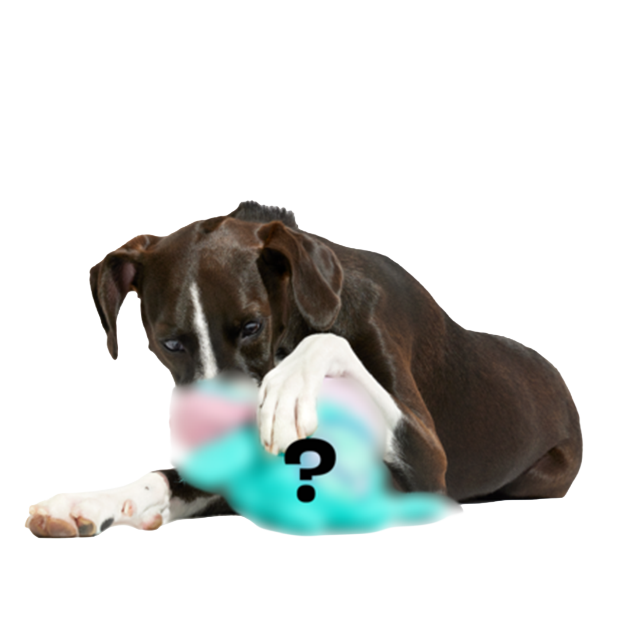 Secret Monster Club, Super Chewer Durable 2-in-1 Rip and Reveal Monthly Dog Toys