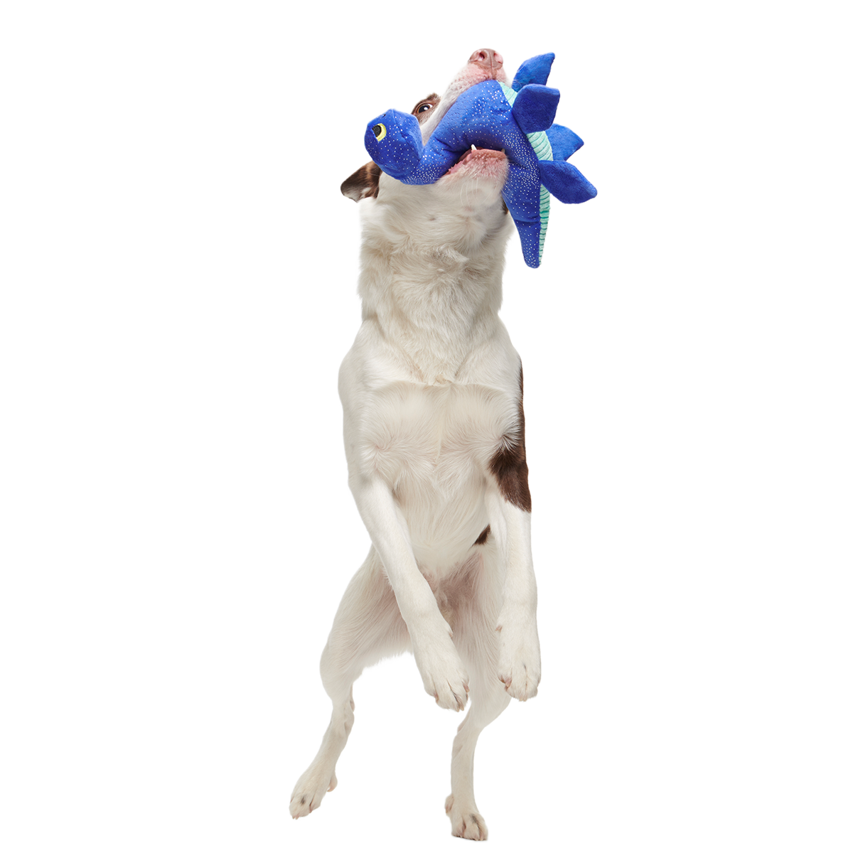 Luke Ness Monster Plush Tug Dog Toy