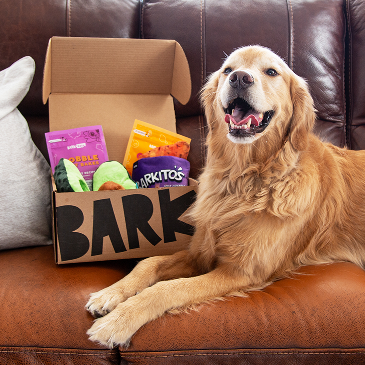 BarkBox + Free Yeti Bowl: 6 Month Subscription