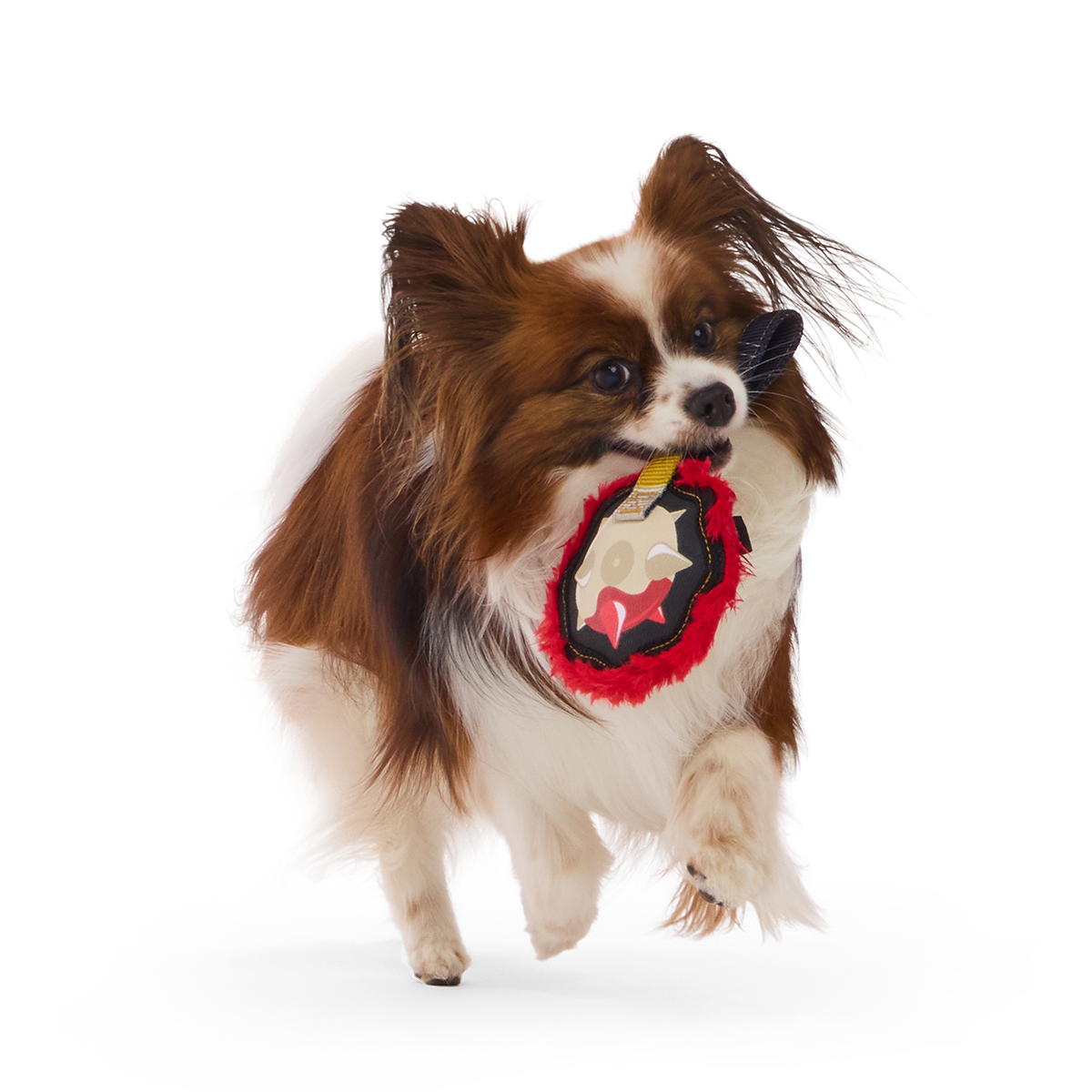 Mace of Spades Super Chewer Durable Tug Dog Toy