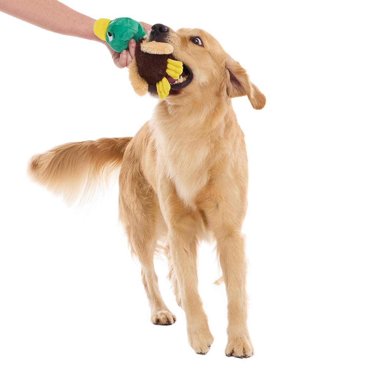 Mal R. Duck Plush Tug Dog Toy