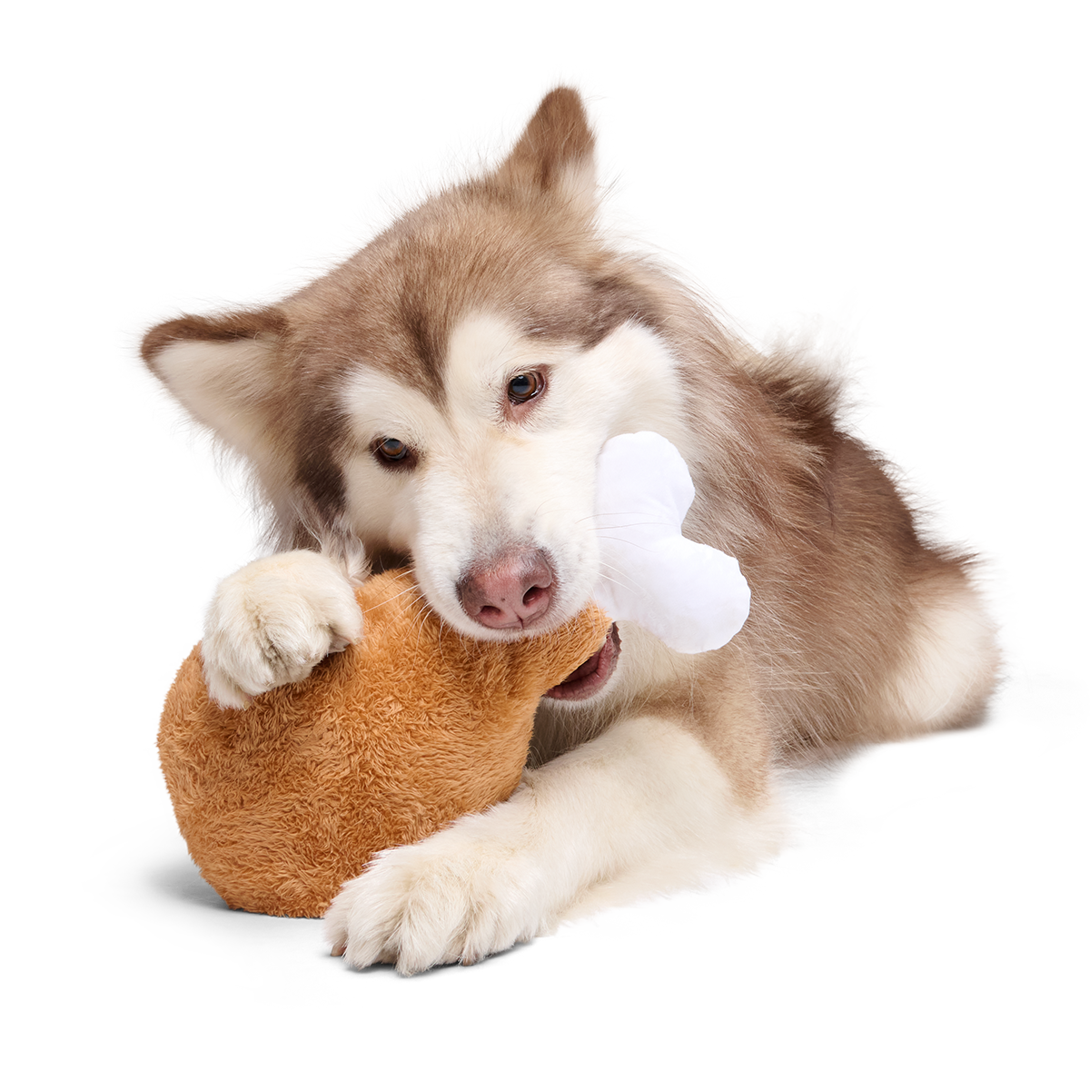 Extra-Large Toy Club, Monthly Plush XL Dog Toys
