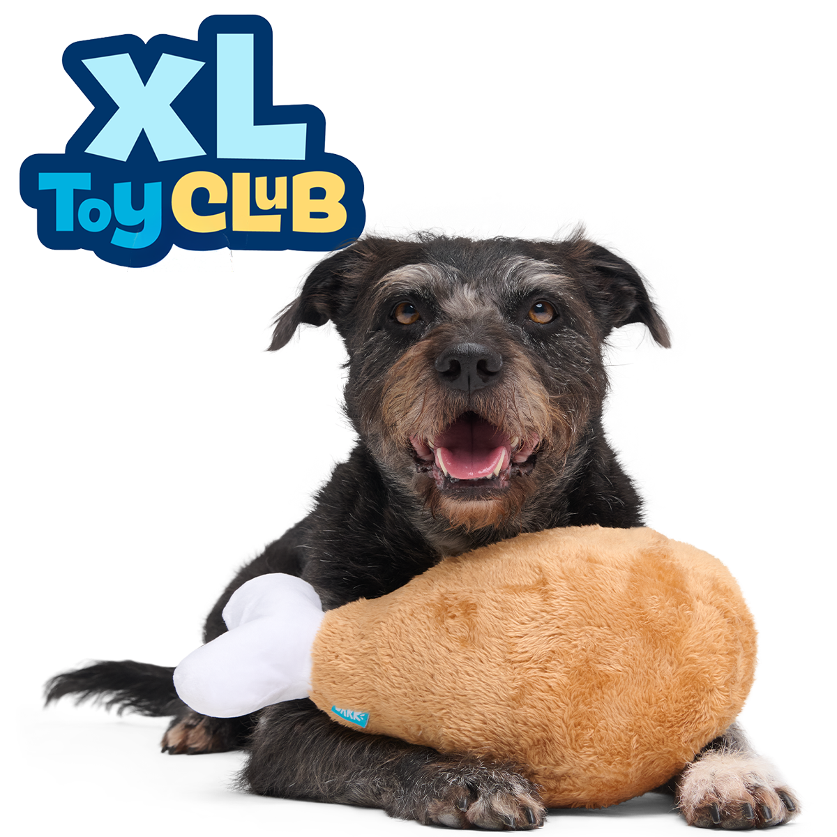 Extra-Large Toy Club, Monthly Plush XL Dog Toys