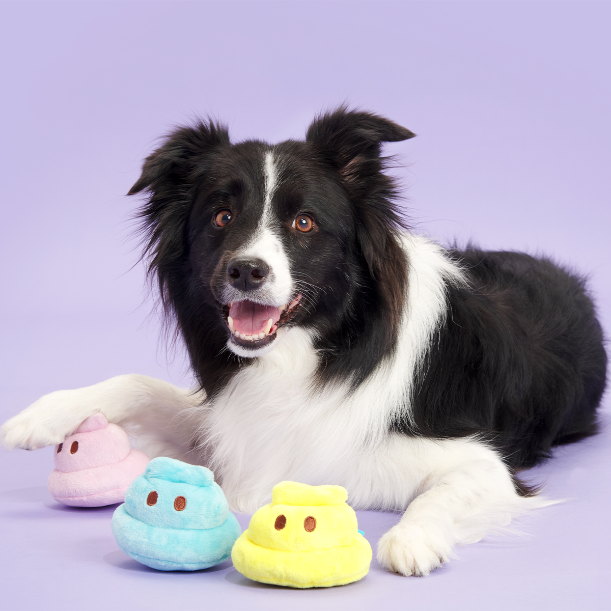 Marshmallow Poops Plush Multi-Part Dog Toy