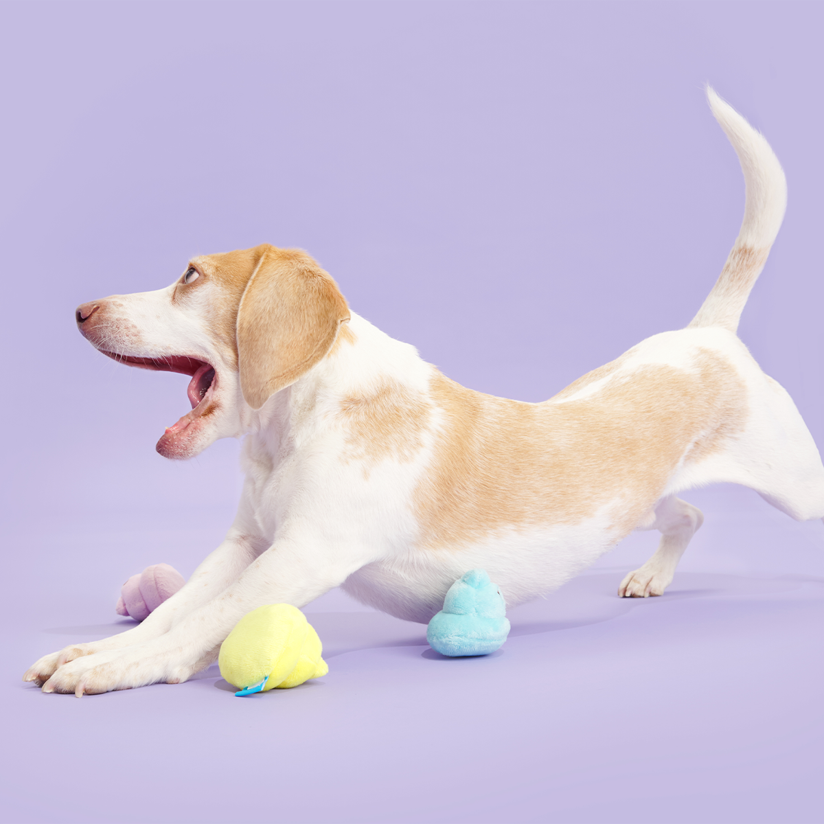 Marshmallow Poops Plush Multi-Part Dog Toy
