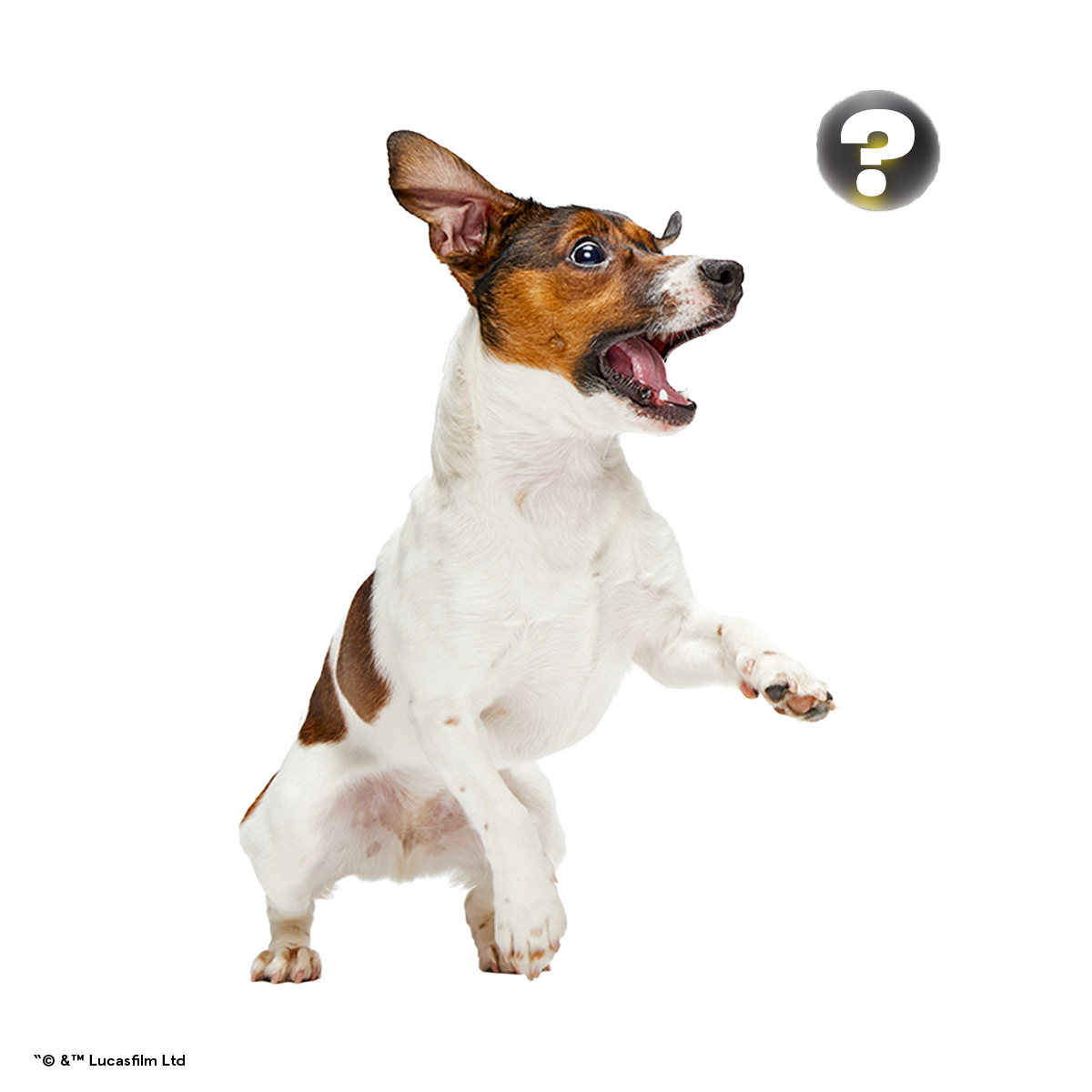 Star Wars™ Droid Smugglers Club