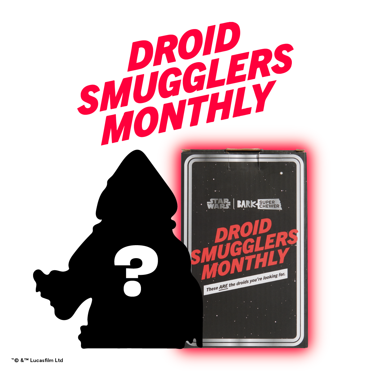 Star Wars™ Droid Smugglers Club