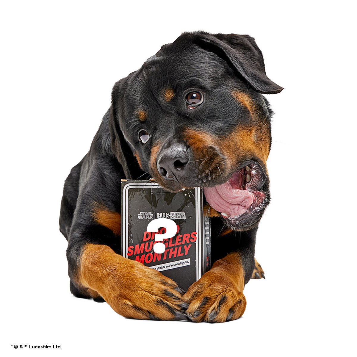 Star Wars™ Droid Smugglers Club