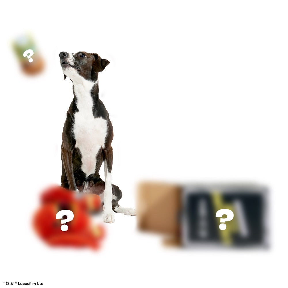 Star Wars™ Creature Club, Plush Monthly Dog Toys