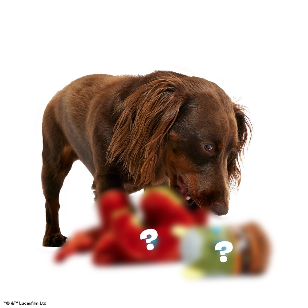 Star Wars™ Creature Club, Plush Monthly Dog Toys