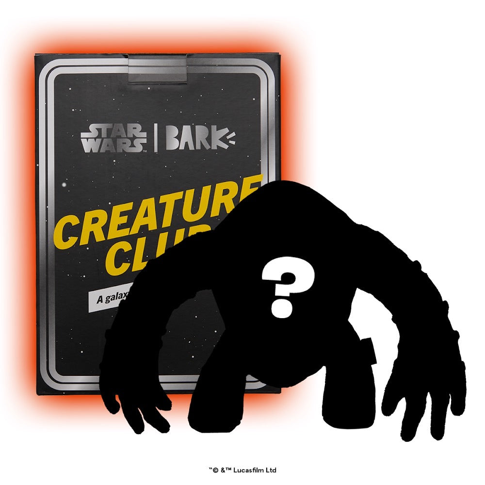 Star Wars™ Creature Club, Plush Monthly Dog Toys