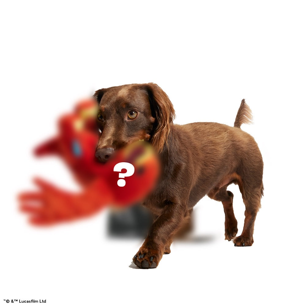 Star Wars™ Creature Club, Plush Monthly Dog Toys