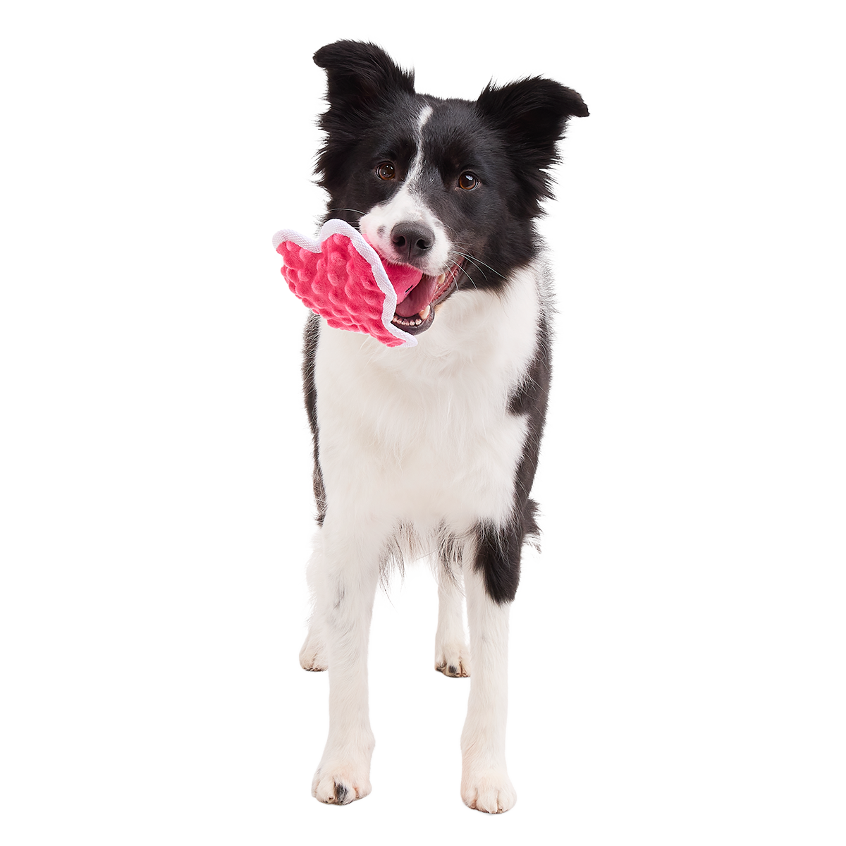 Melted Melanie Plush Tug Dog Toy