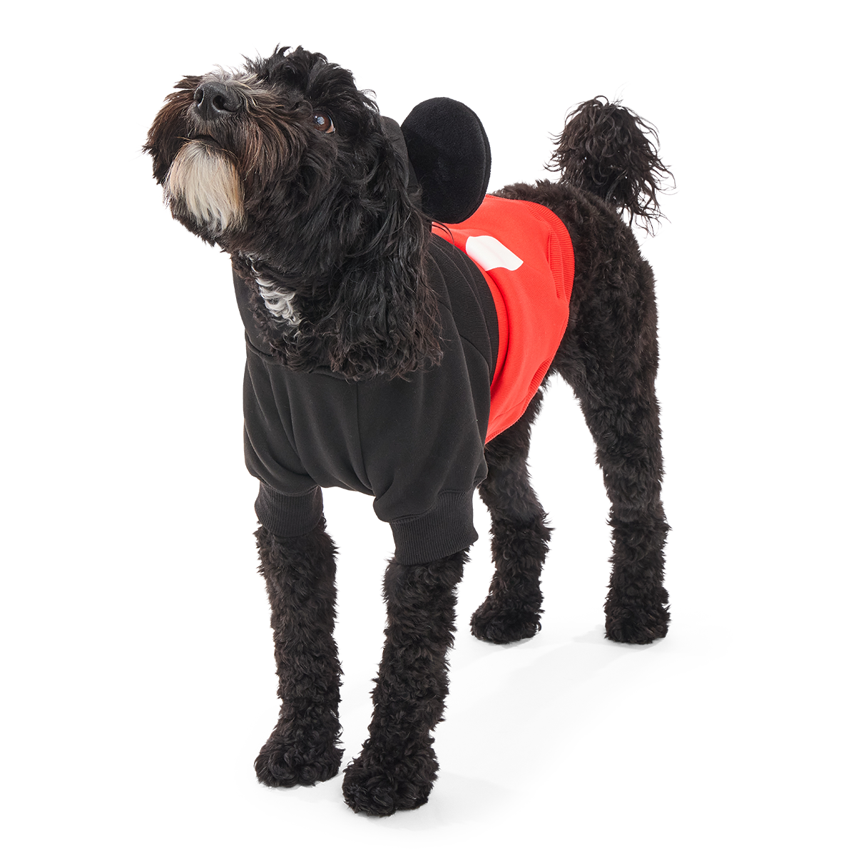 Mickey Mouse Dog Hoodie