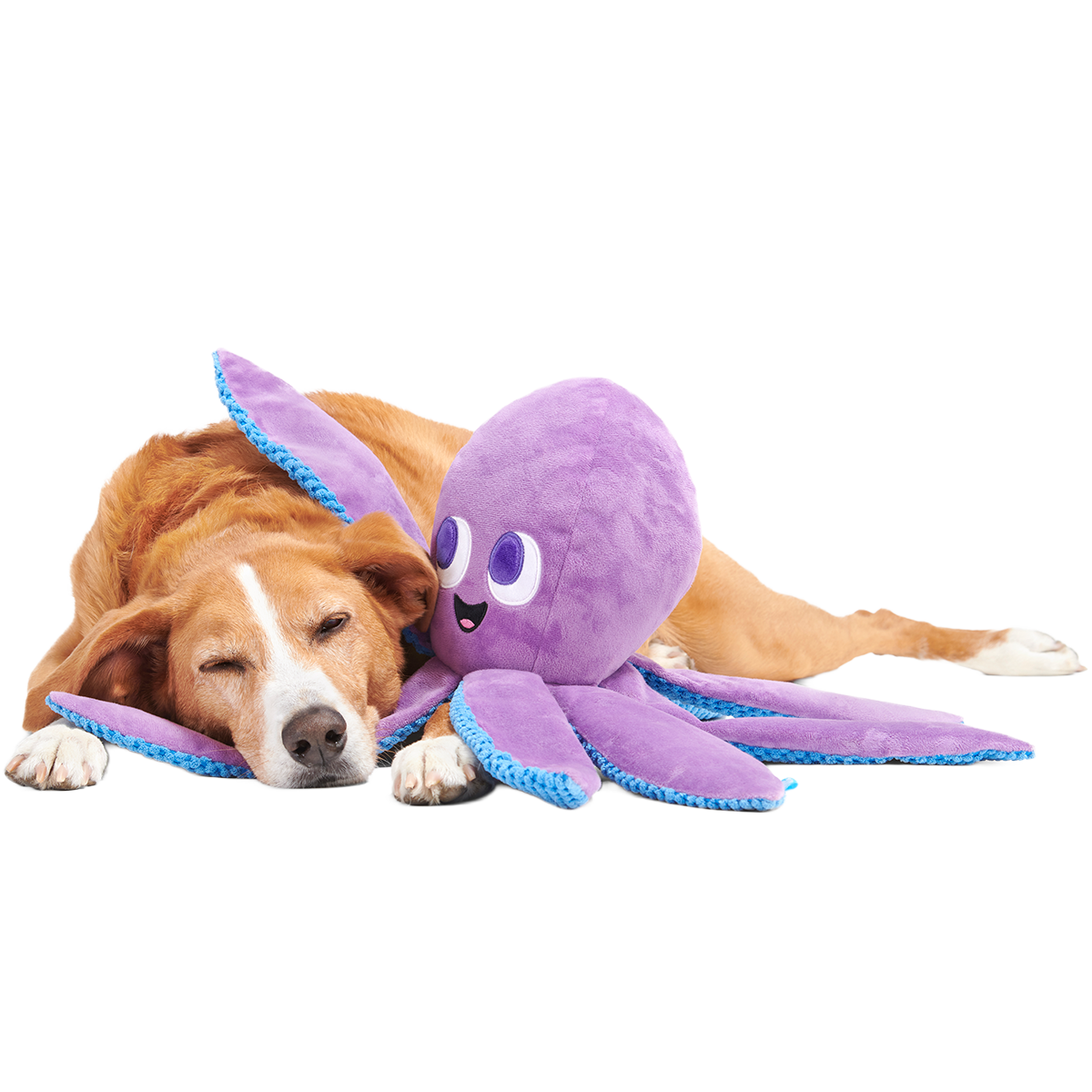 Mondo Ollie the Octopus Plush Tug + Extra-Large Dog Toy