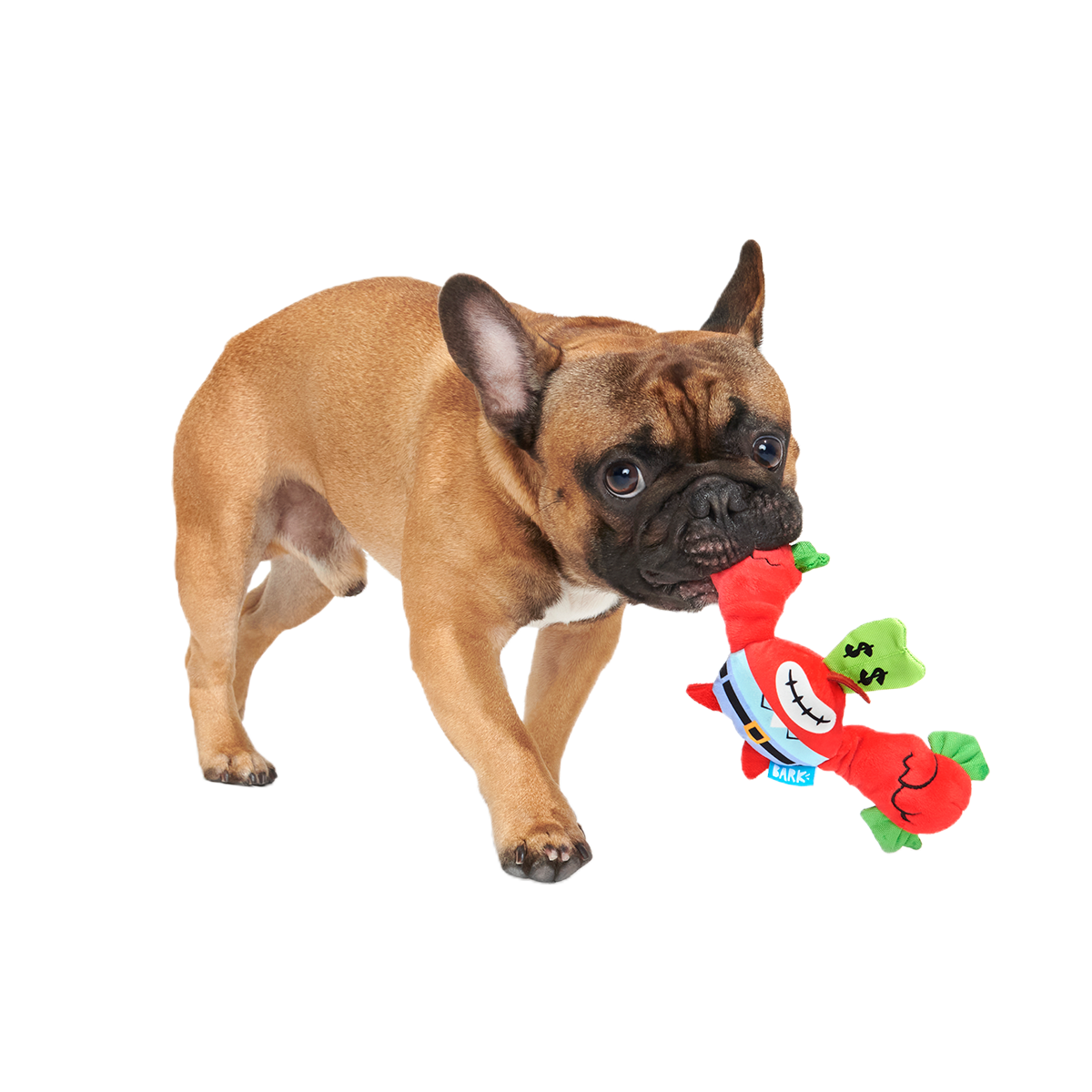 Money-Tugging Mr. Krabs Plush Tug Dog Toy