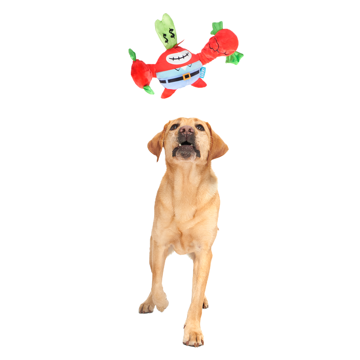 Money-Tugging Mr. Krabs Plush Tug Dog Toy