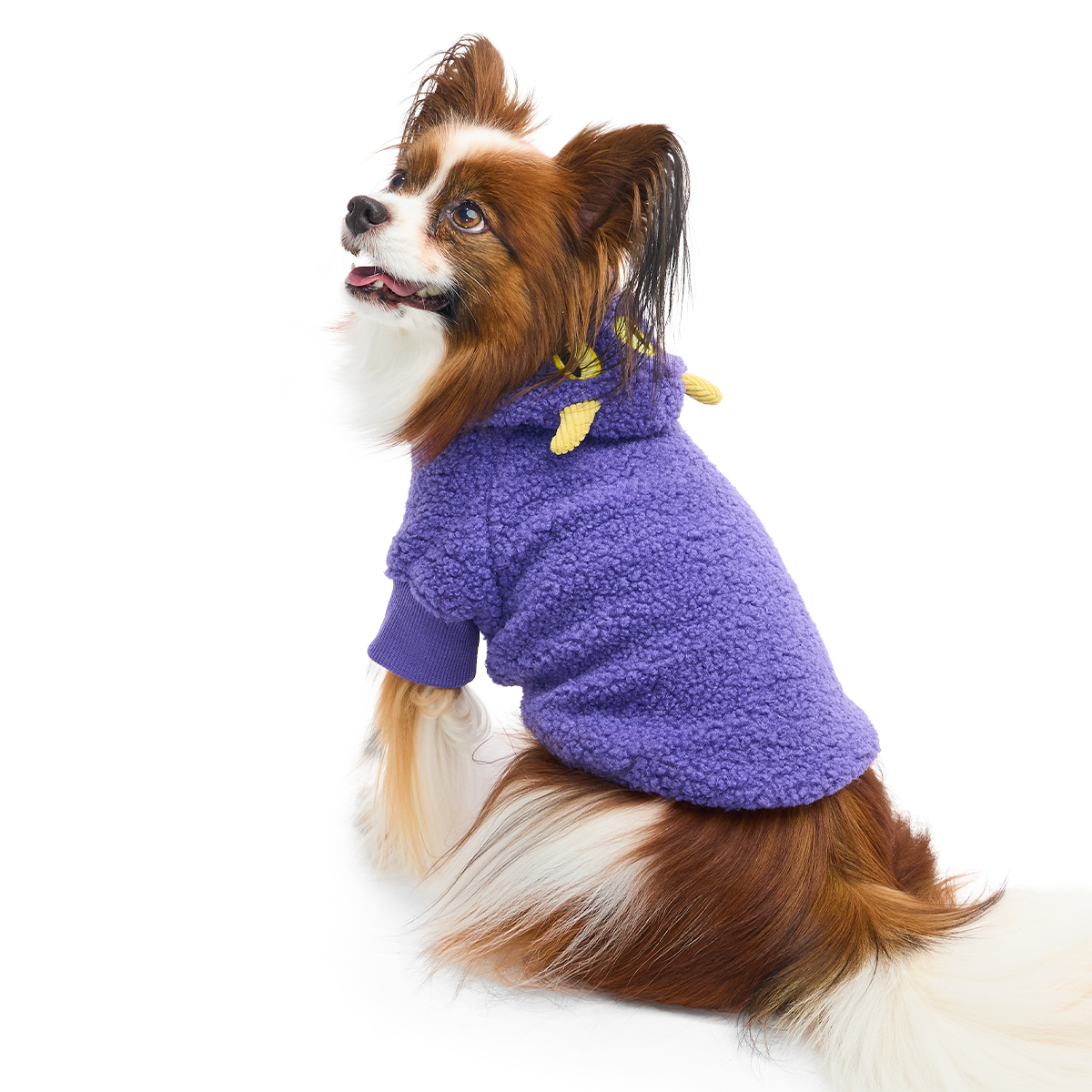 Monster Dog Hoodie