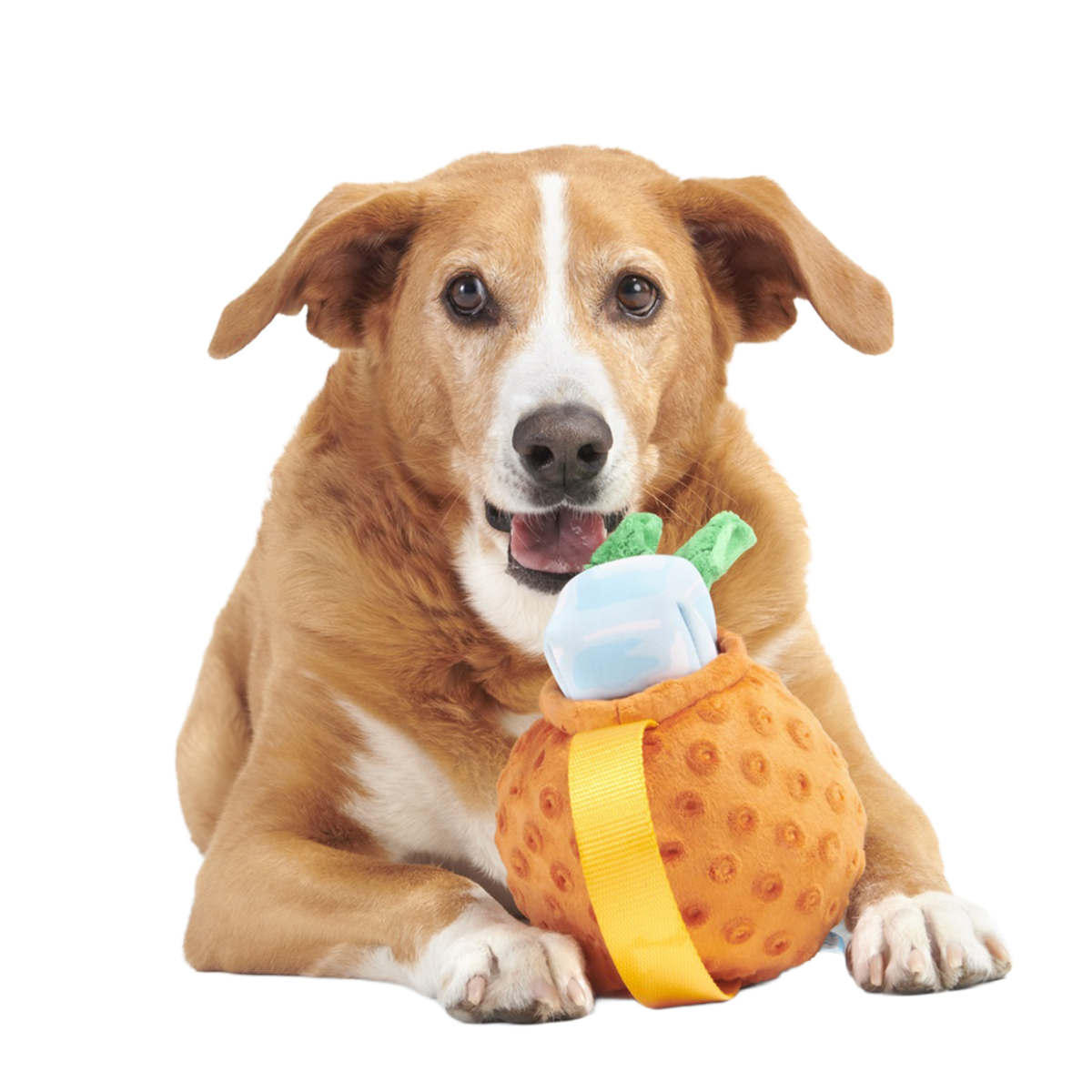 Cocktail Club, Plush Cocktail Monthly Dog Toys