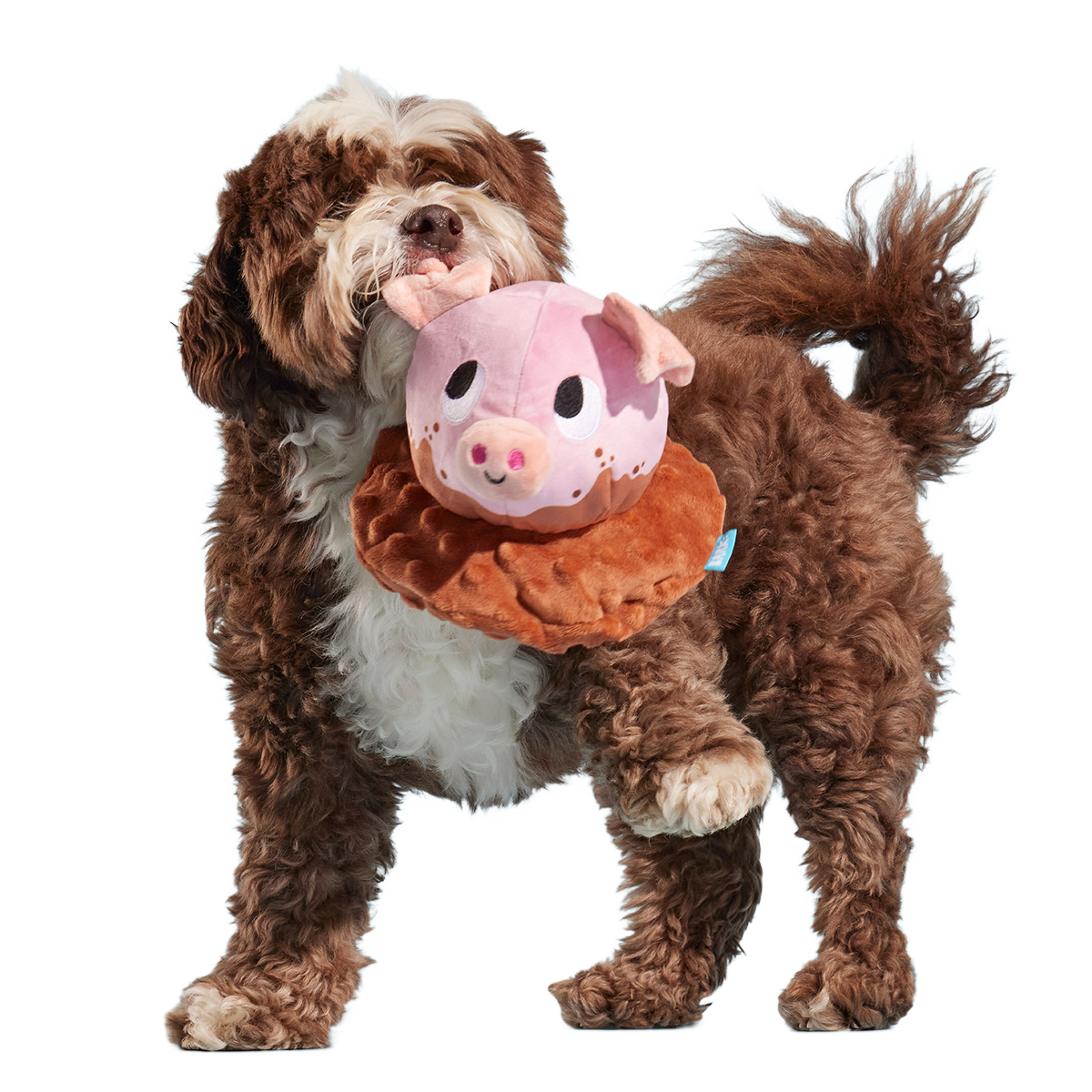 Muddy Maude Plush Fetch Dog Toy