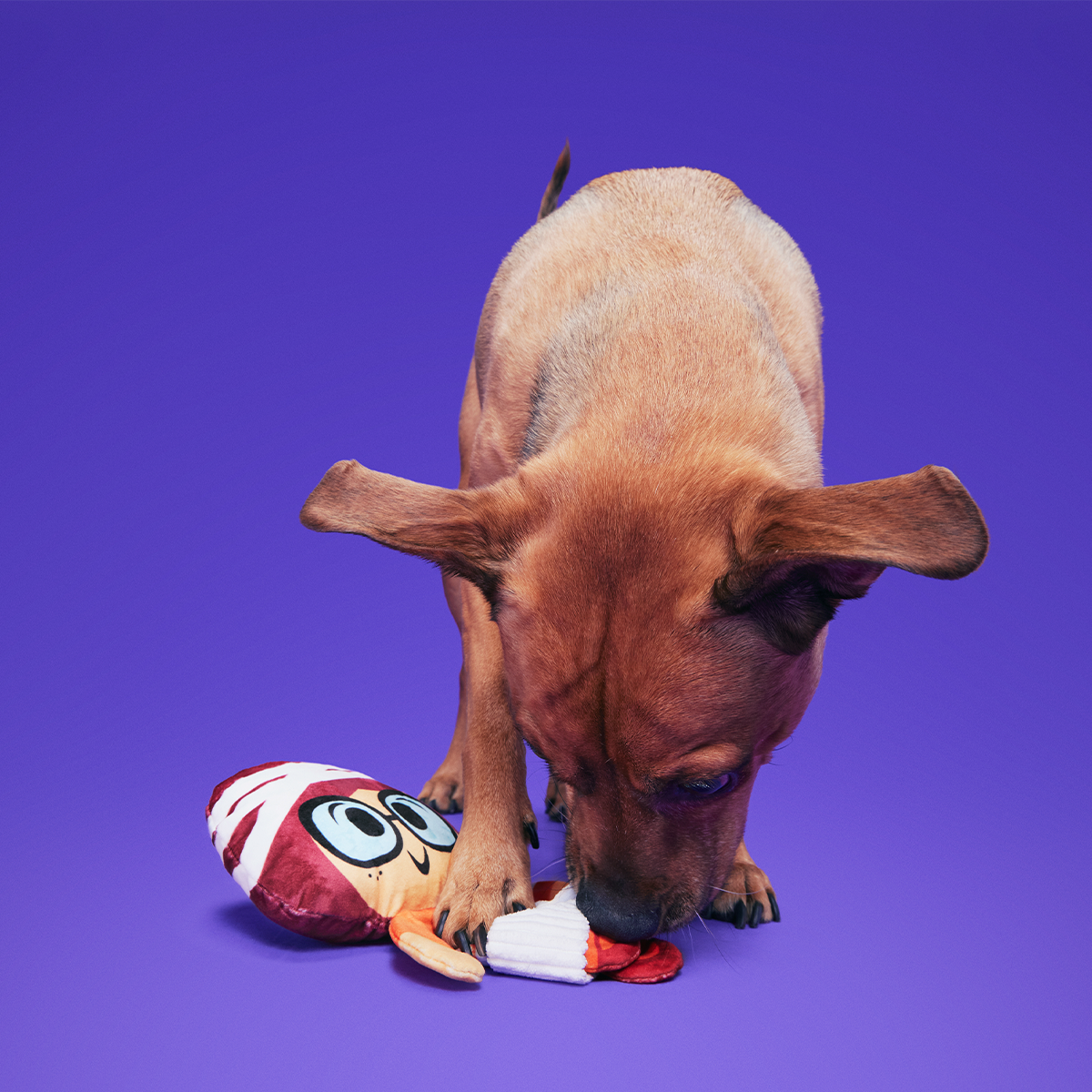 Mummy Velma™ Plush Tug Dog Toy
