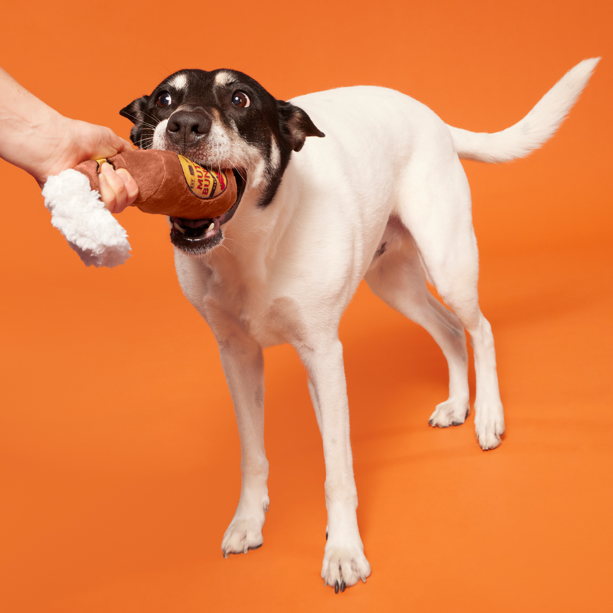 Mutt Bunch Hard Cider Plush Tug Dog Toy