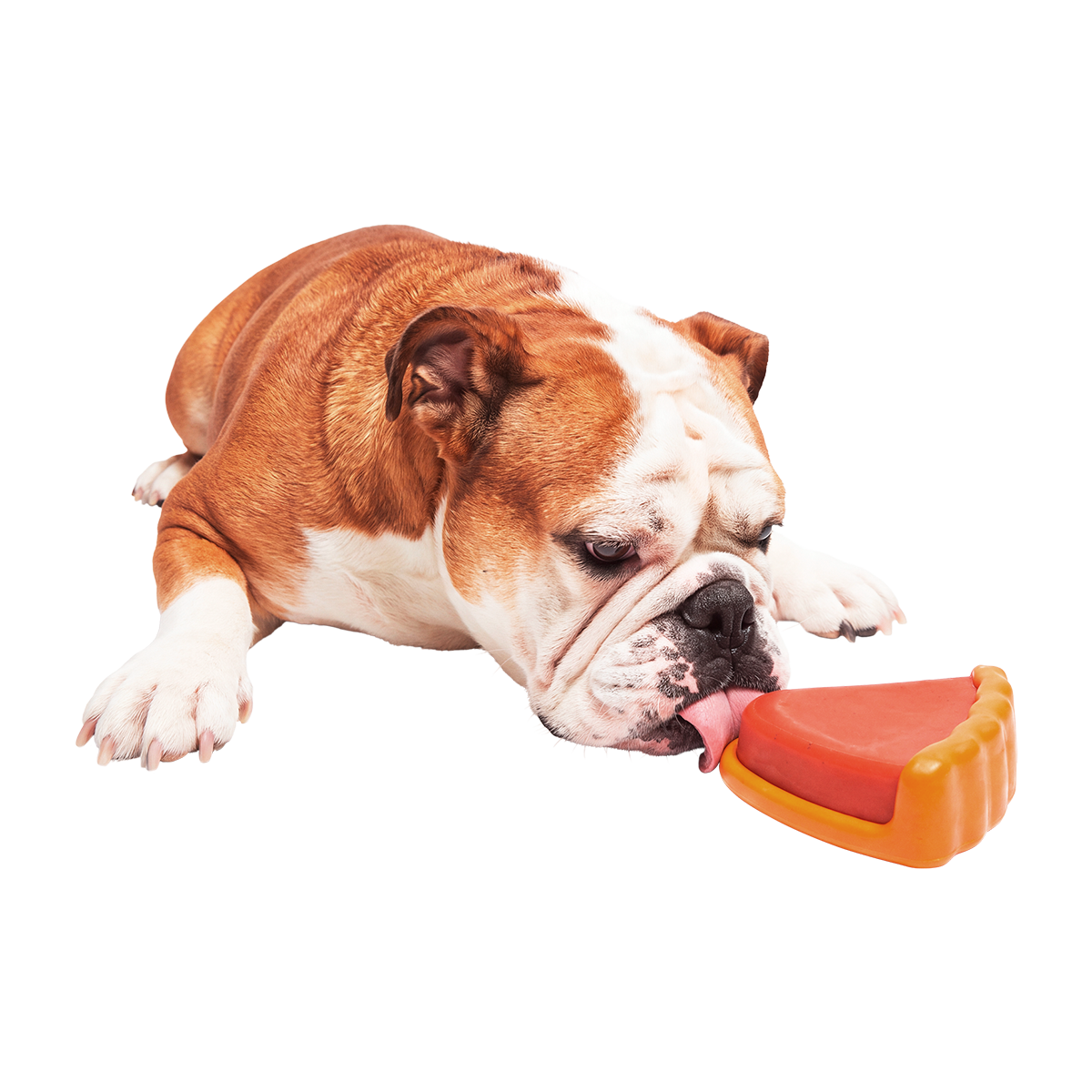 Mutter Pecan Pie Super Chewer Durable Gnaw Dog Toy