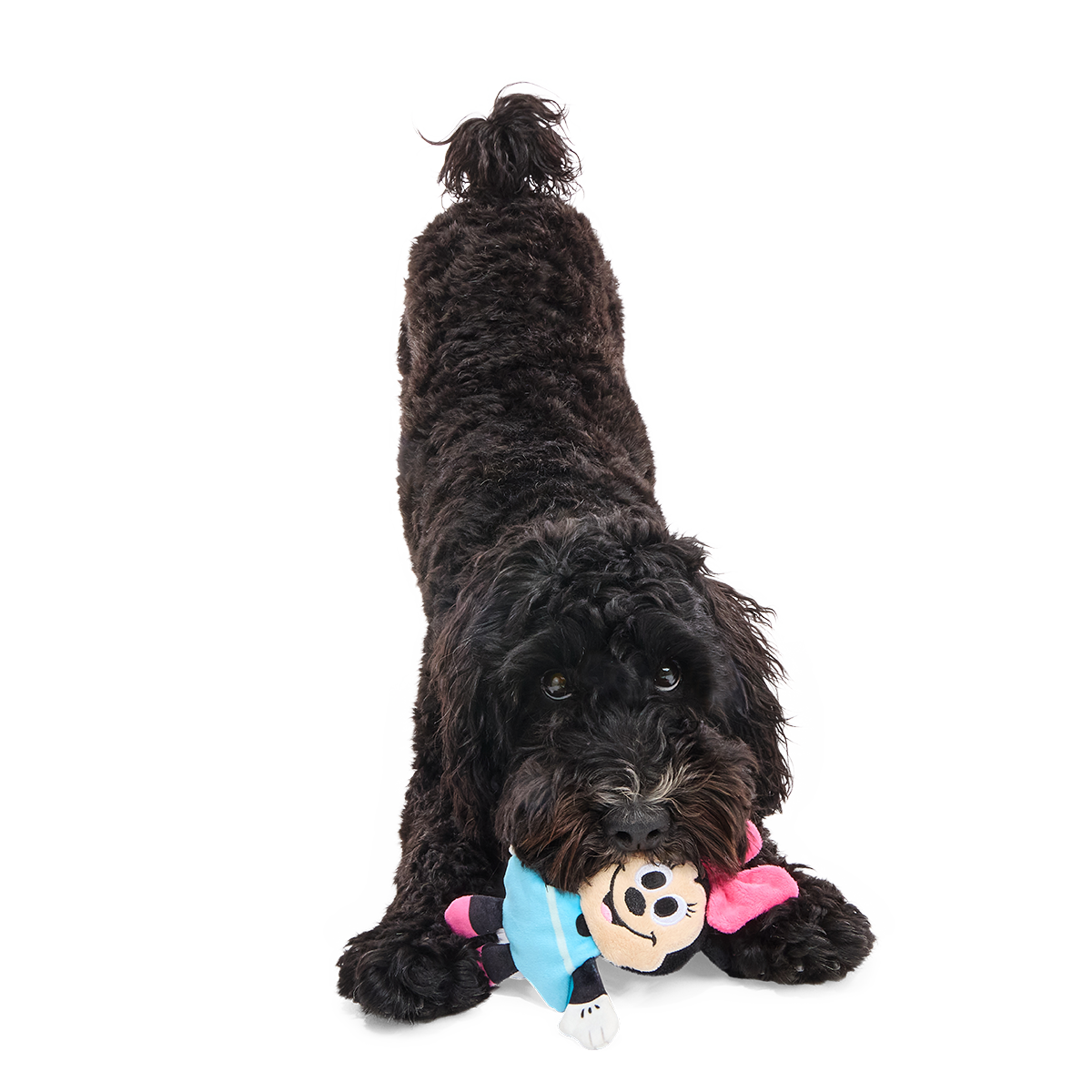 My Pal Minnie Plush Tug Dog Toy