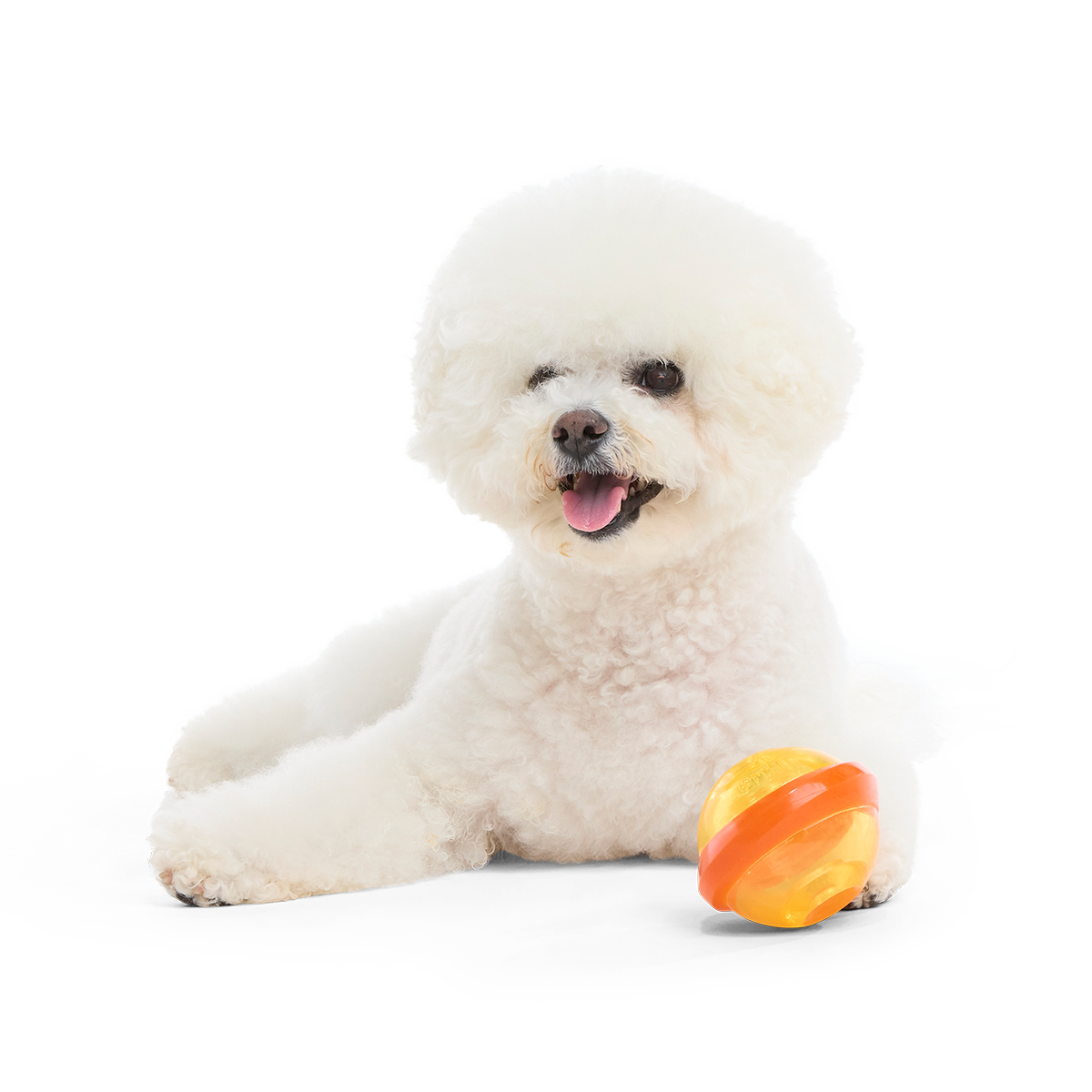 Nebula Super Chewer Durable Fetch + Enrichment Dog Toy