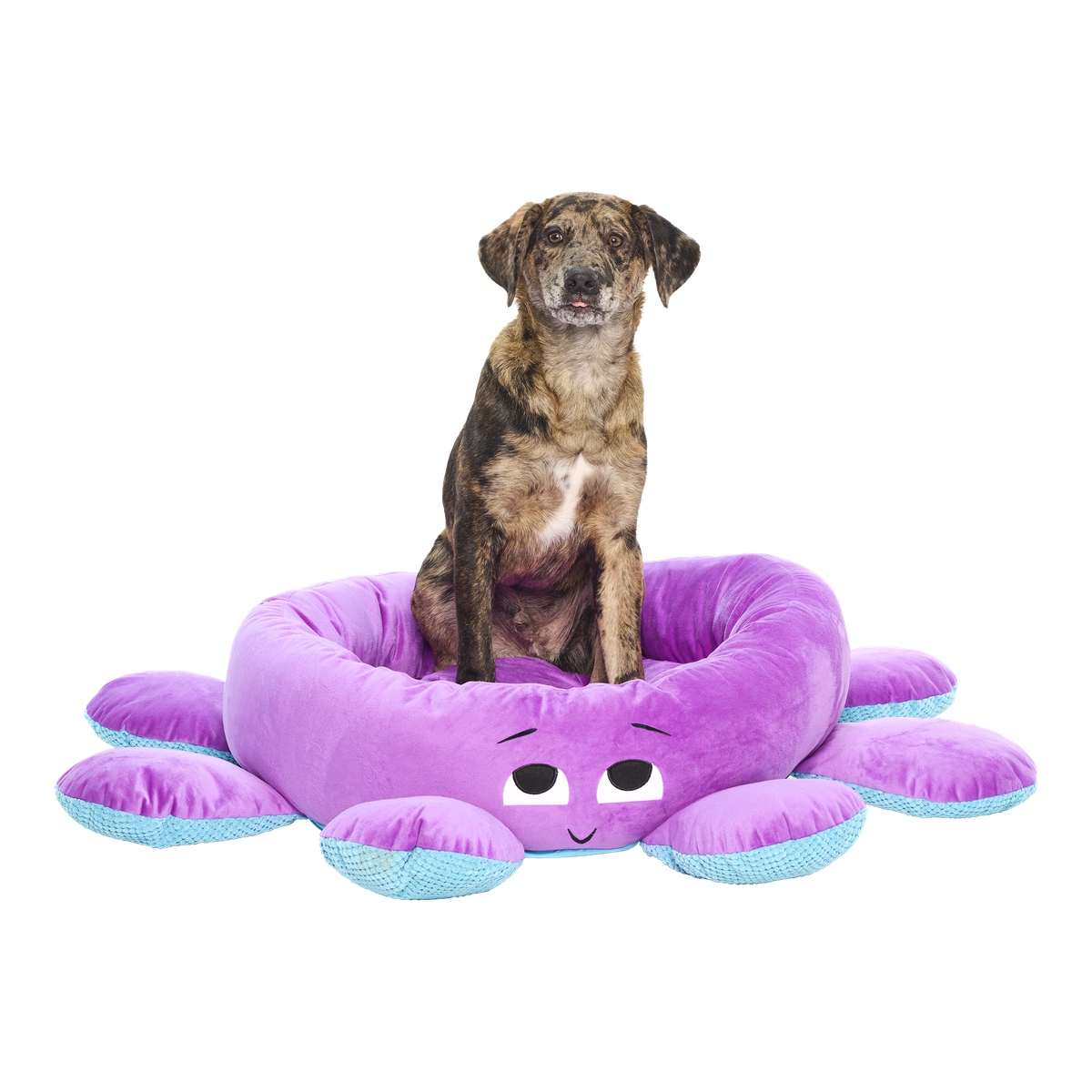 OLLIE-THE-OCTOPUS_BED_218859_0173_cropped#Size_L