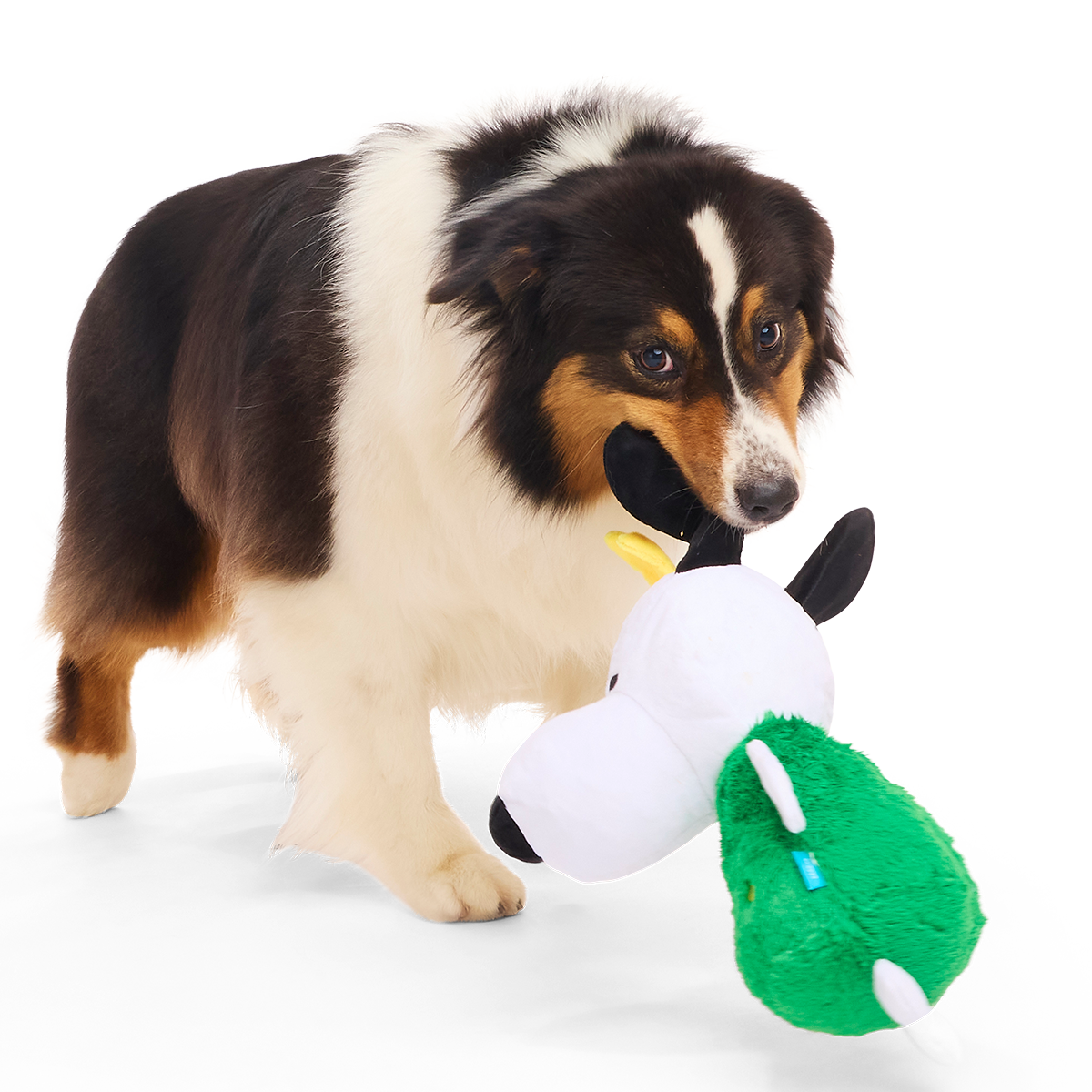 O Snoopy Tree Plush Extra-Large + Tug Dog Toy