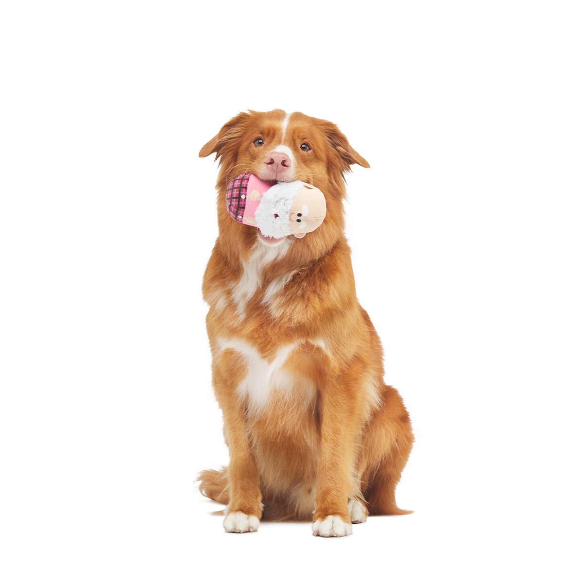 Ol' Kris Kringle™ Plush Multi-Part + Enrichment Dog Toy