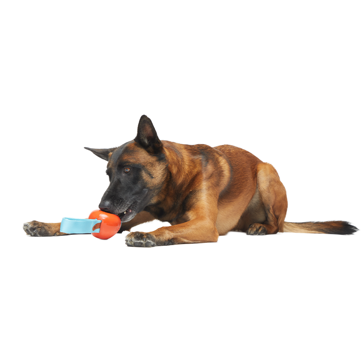 One Bad Apple Super Chewer Durable Tug + Enrichment Dog Toy