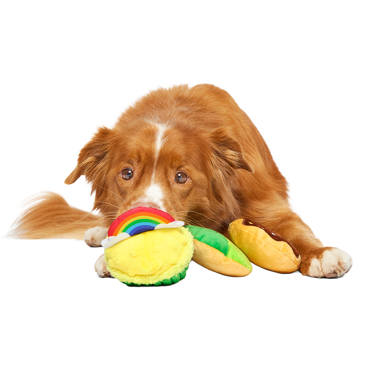 Patty Cakes Plush Multi-Part Dog Toy