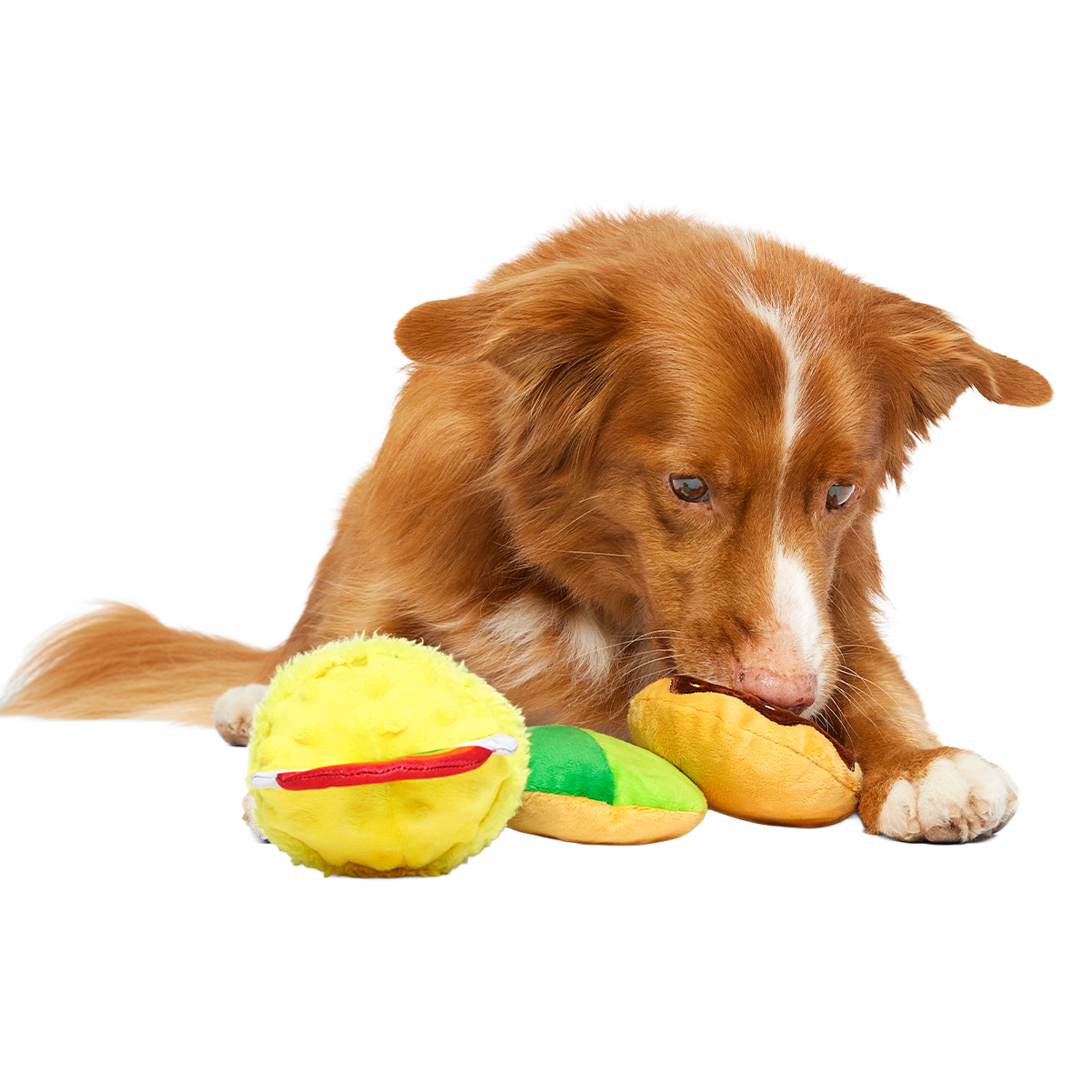 Patty Cakes Plush Multi-Part Dog Toy