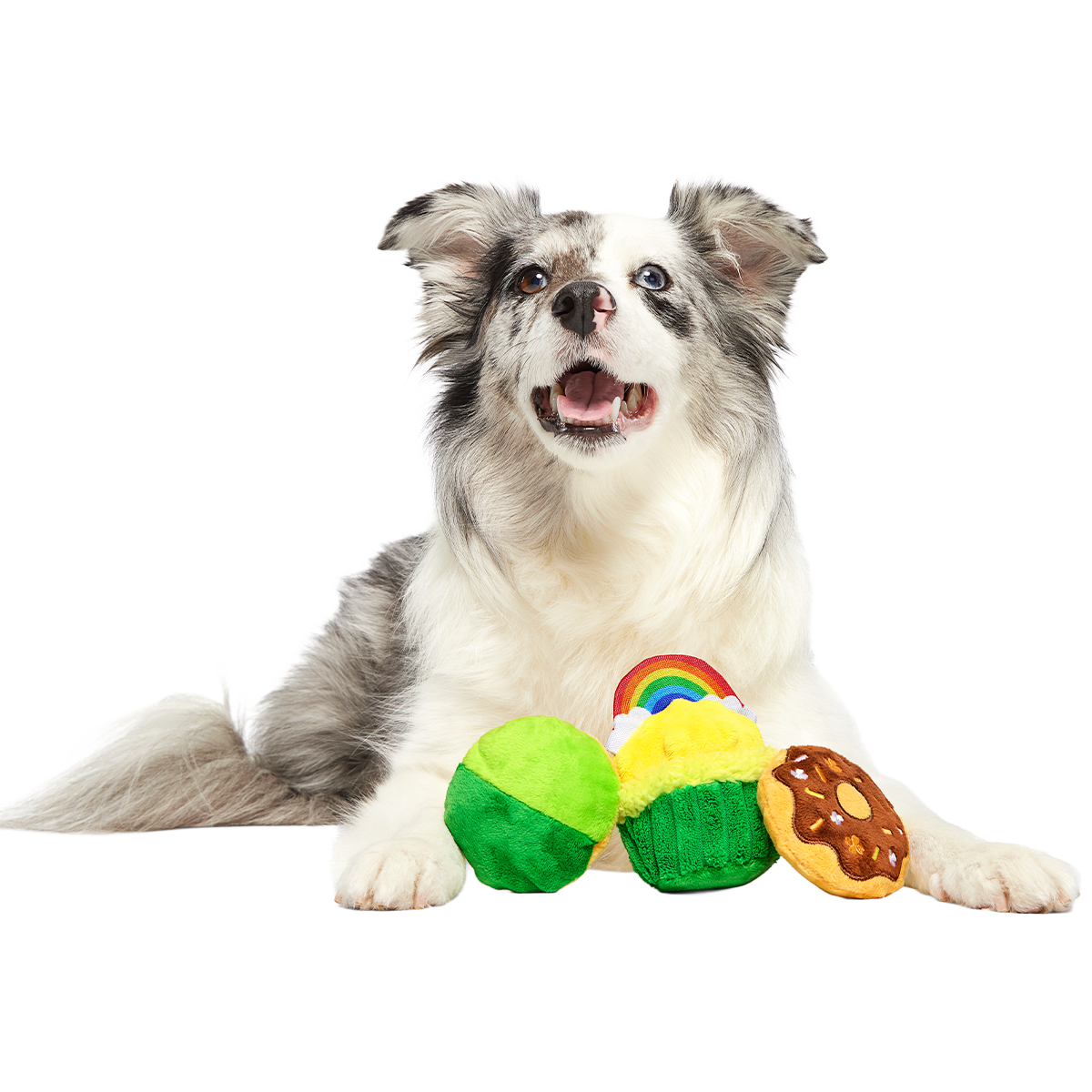 Patty Cakes Plush Multi-Part Dog Toy