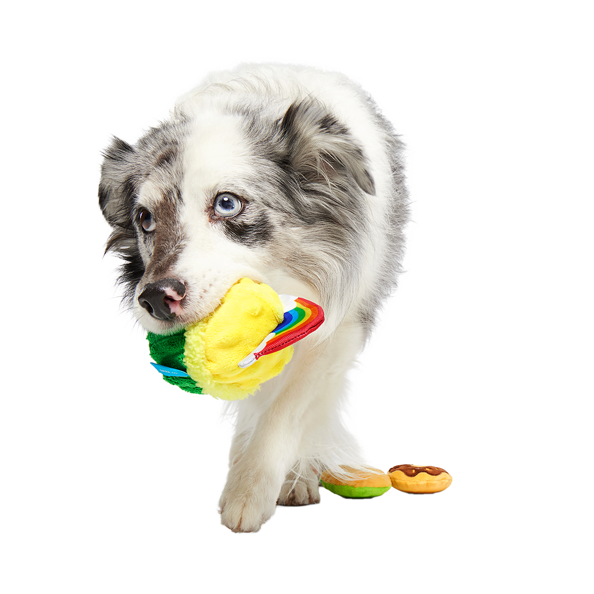 Patty Cakes Plush Multi-Part Dog Toy