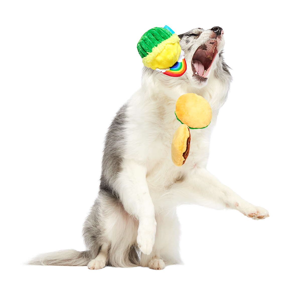 Patty Cakes Plush Multi-Part Dog Toy