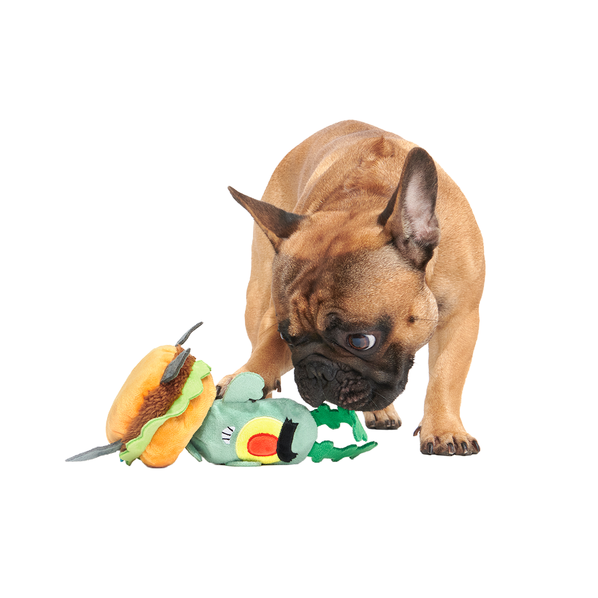 Patty Stealing Plankton Plush Multi-Part + Enrichment Dog Toy