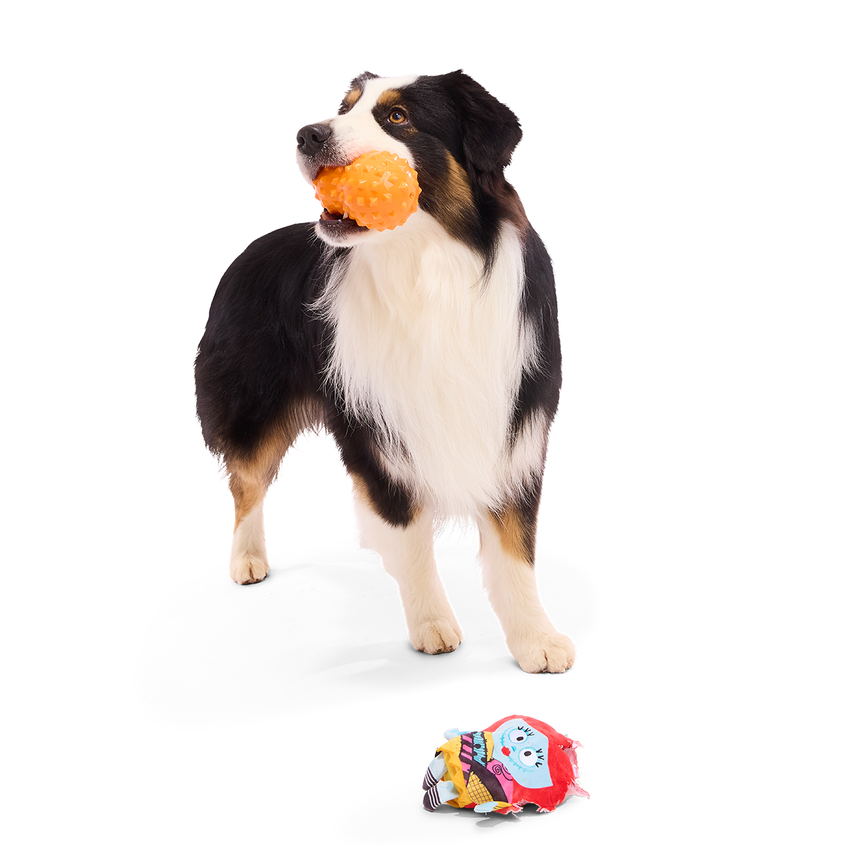 Pawtchwork Sally Super Chewer Durable 2-in-1 + Tug Dog Toy