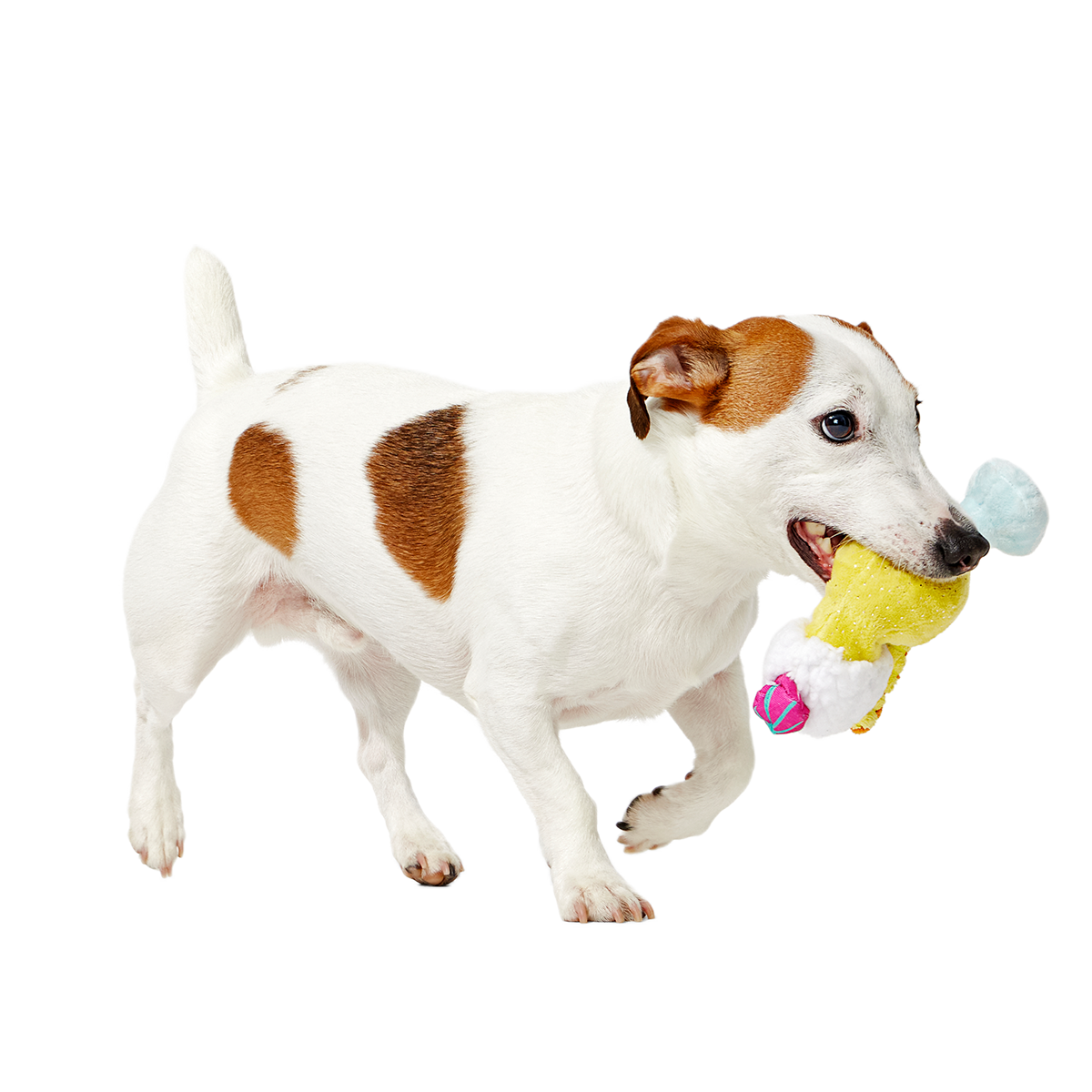 Cocktail Club, Plush Cocktail Monthly Dog Toys