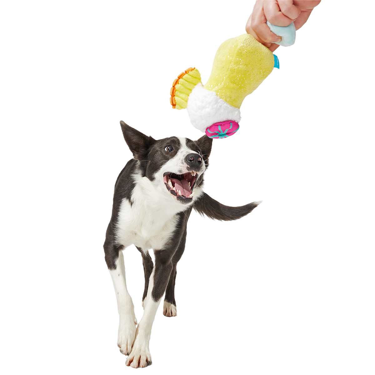 Cocktail Club, Plush Cocktail Monthly Dog Toys