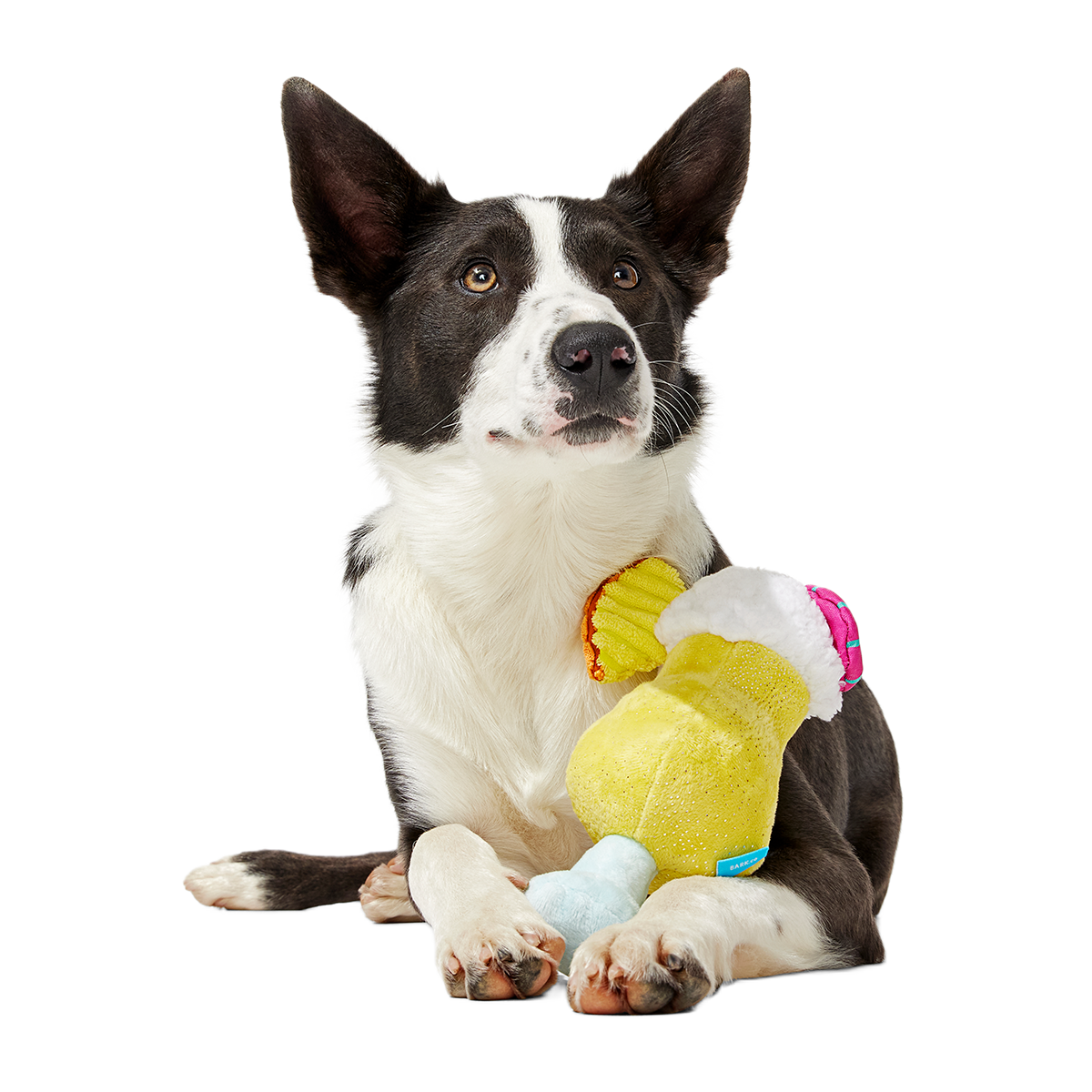 Cocktail Club, Plush Cocktail Monthly Dog Toys
