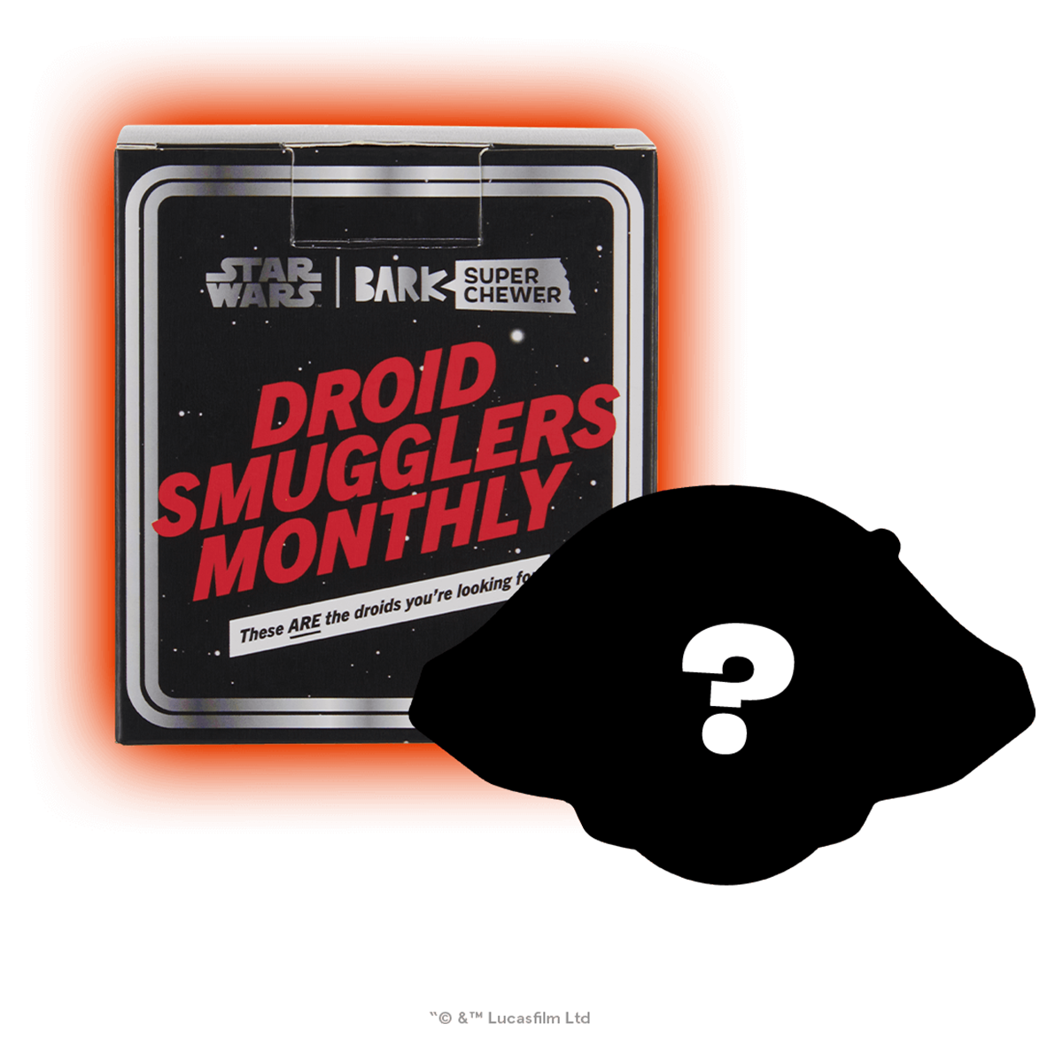 Star Wars™ Droid Smugglers Club, Super Chewer Durable Monthly Dog Toys