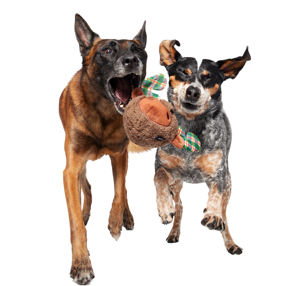 Plaidamoose Super Chewer Durable 2-in-1 + Fetch Dog Toy