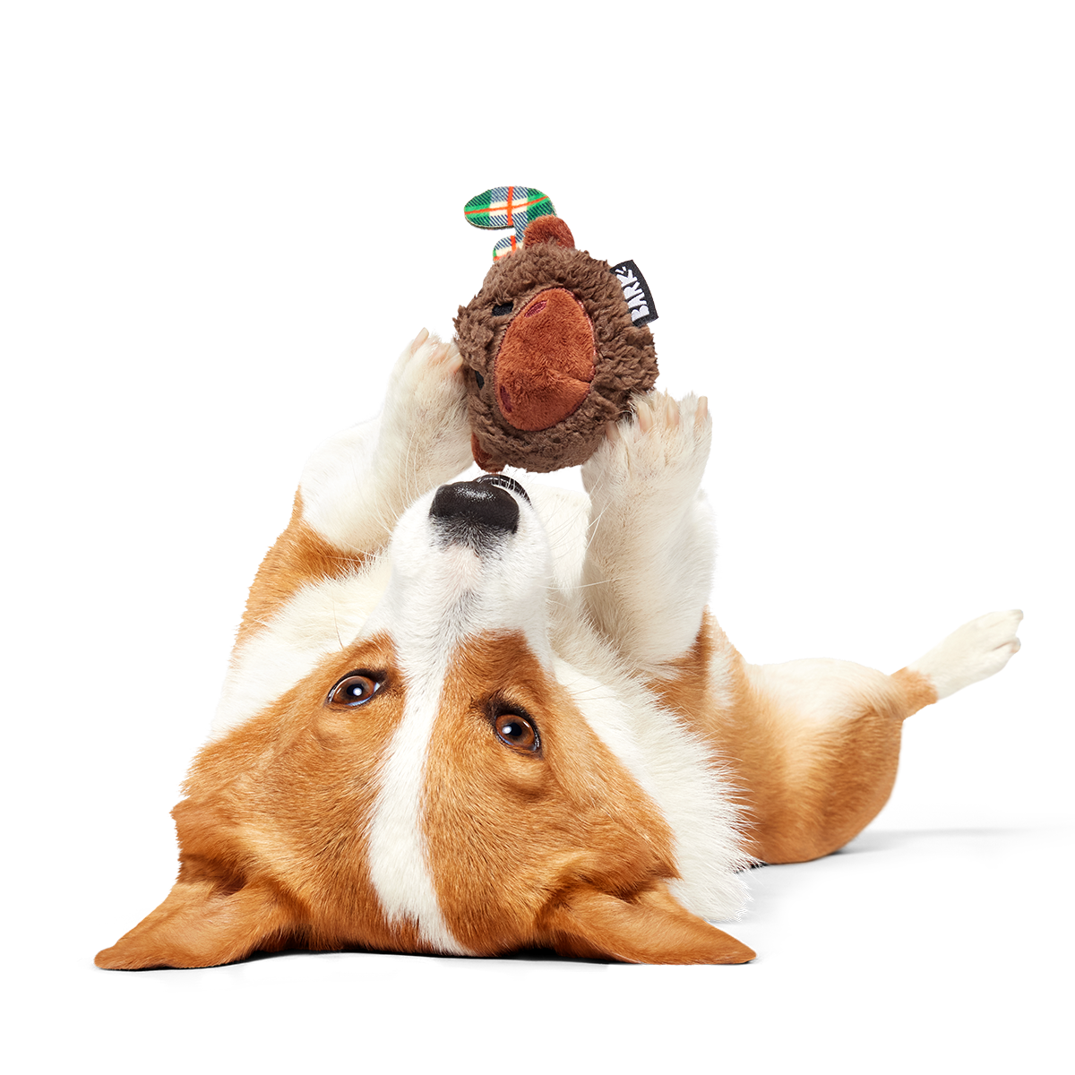 Plaidamoose Super Chewer Durable 2-in-1 + Fetch Dog Toy