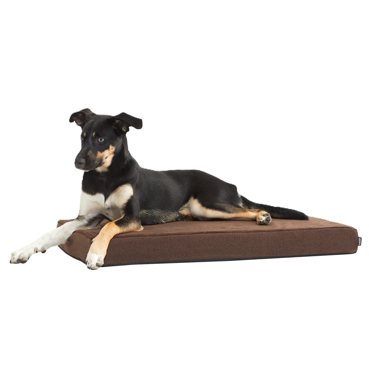 Dog Bed